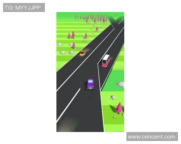 医疗应急网络构建快速通道保障球场边伤员及时救治